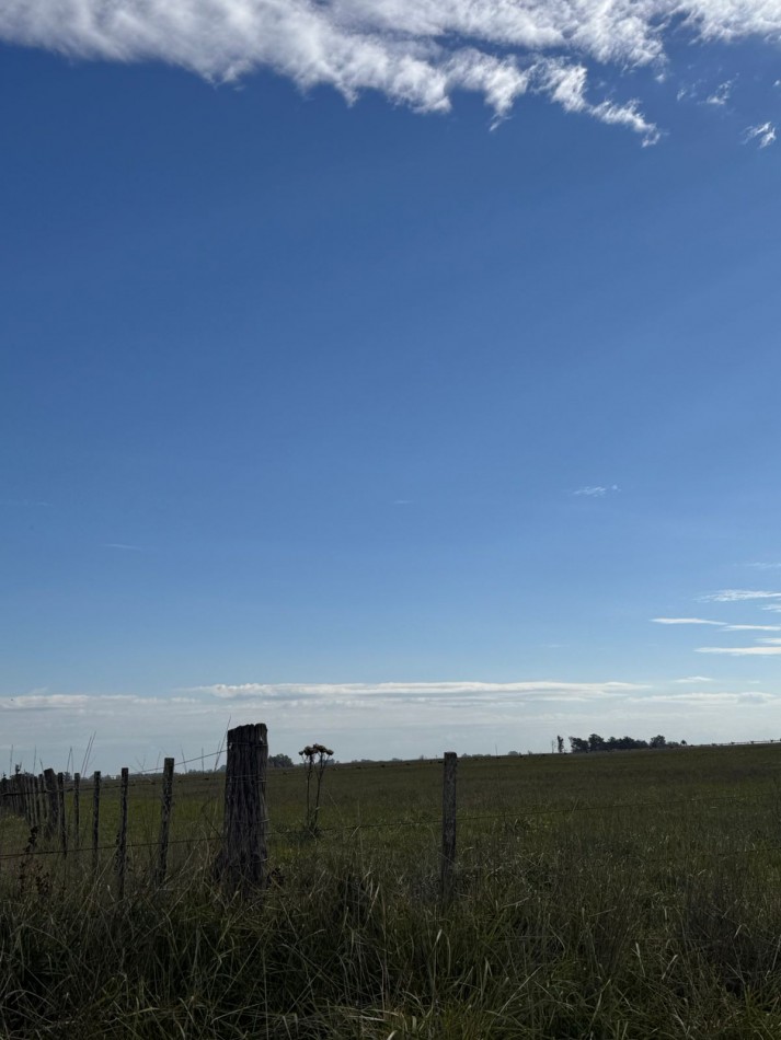 Campo a la venta en Coronel Vidal