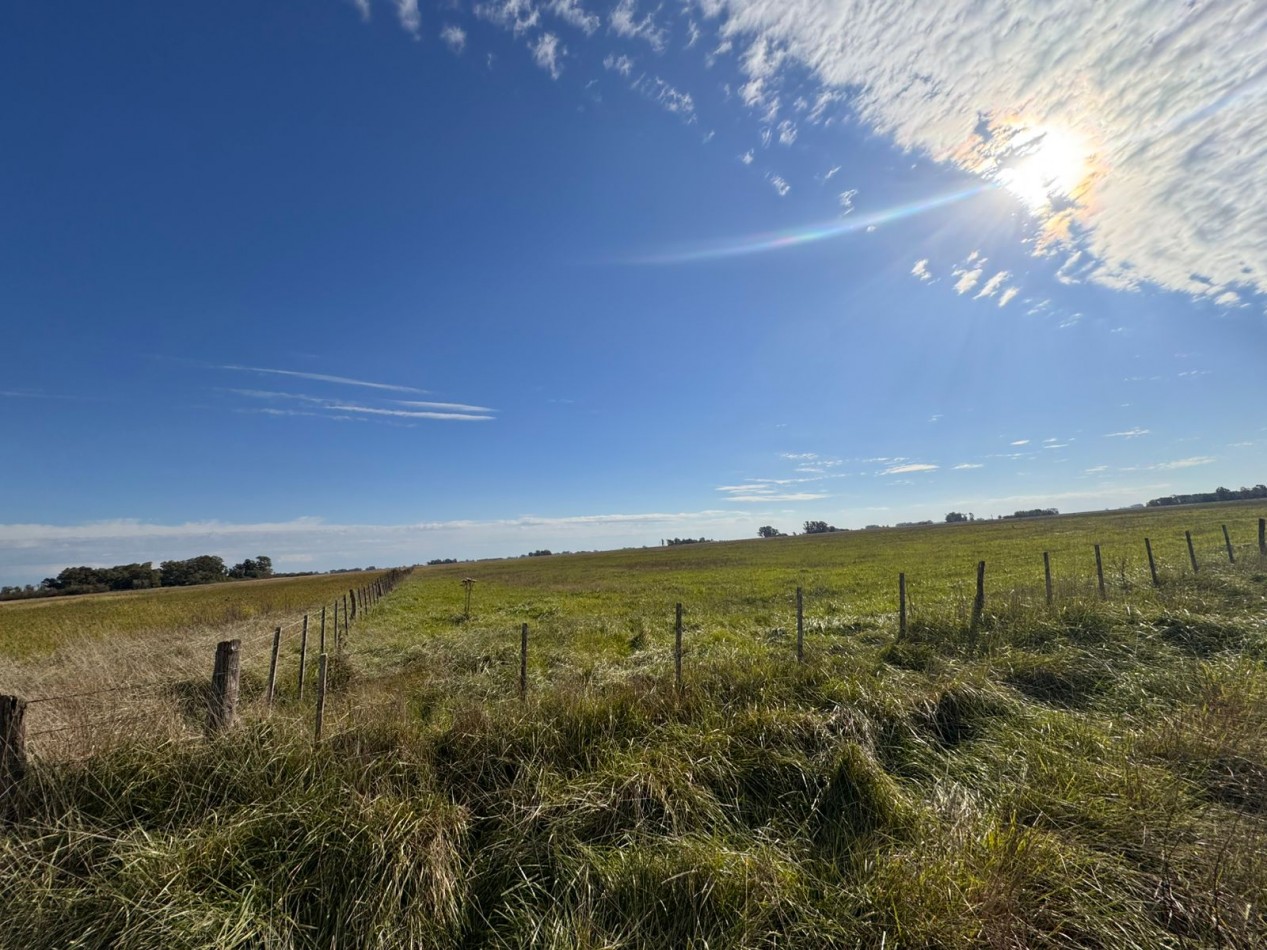 Campo a la venta en Coronel Vidal