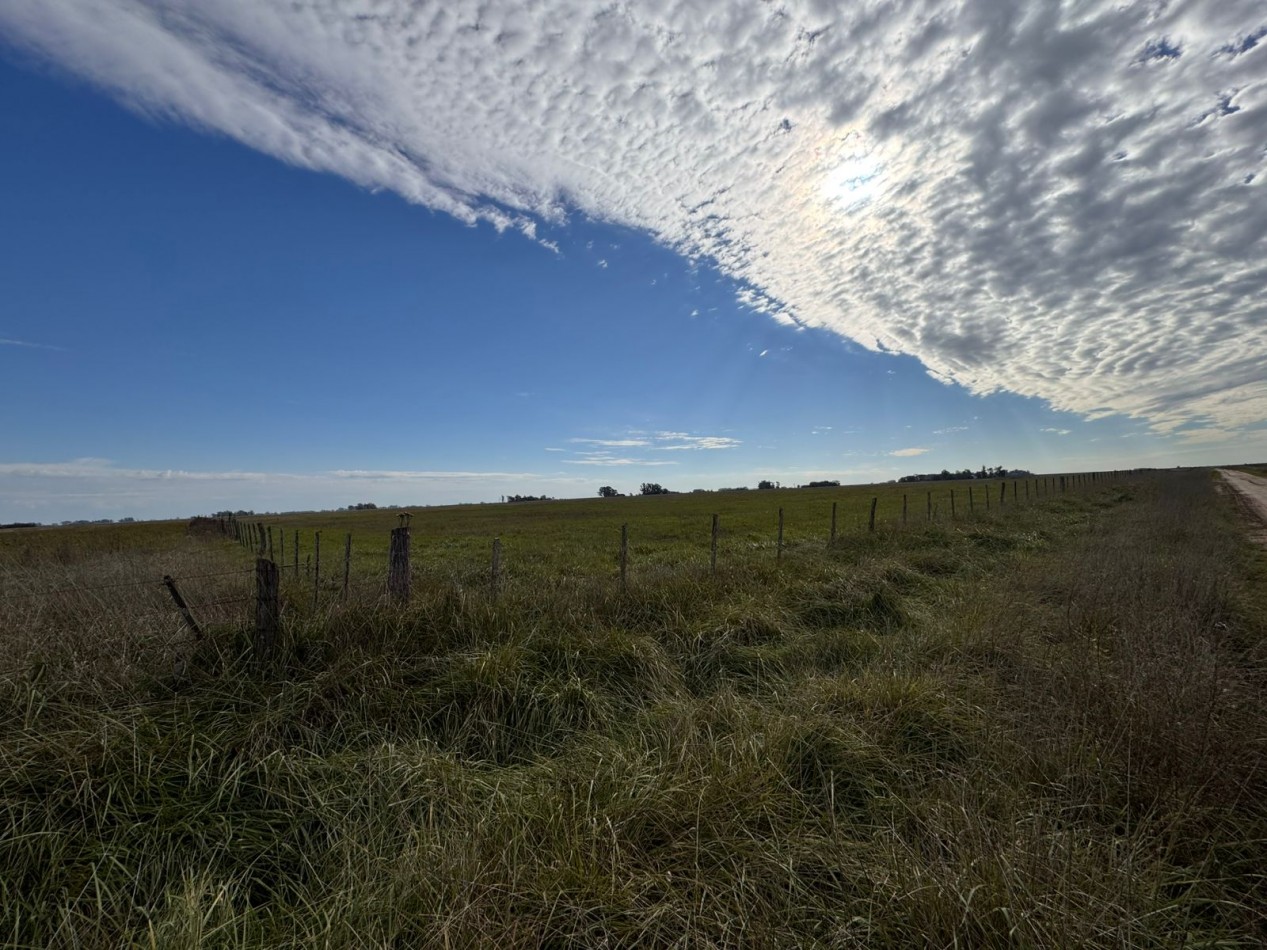 Campo a la venta en Coronel Vidal