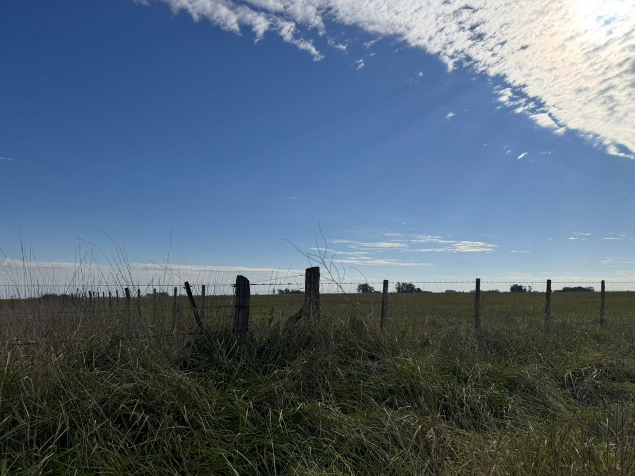 Campo a la venta en Coronel Vidal