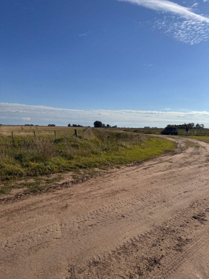 Campo a la venta en Coronel Vidal