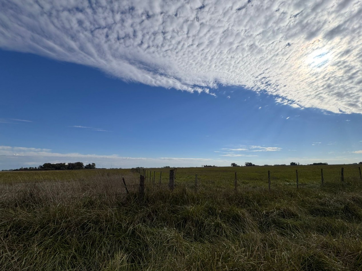 Campo a la venta en Coronel Vidal