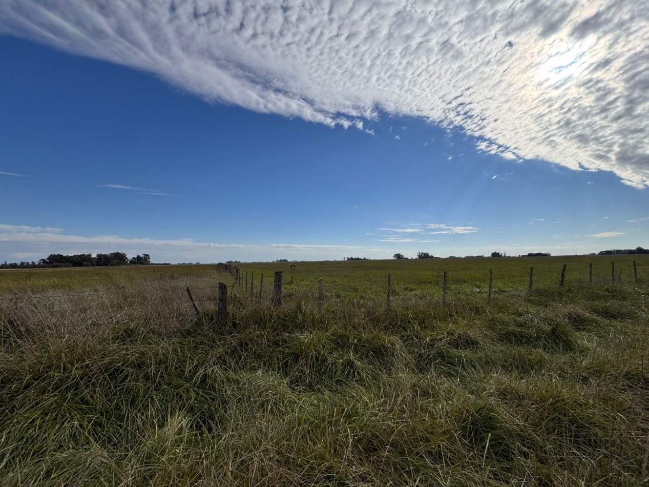 Campo a la venta en Coronel Vidal