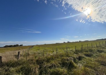 Campo a la venta en Coronel Vidal